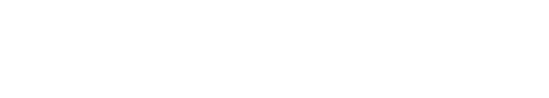 SAGOVIA Event Design